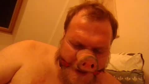 Snapshot of fckcbacc89 chatting on June 20, 1:30 am Horny Fat Boy online show from June 20, 1:30 am