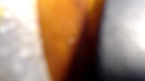 fckyariangel online show from January 10, 2:46 am