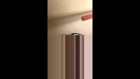 Snapshot of fellatio13 chatting on December 4, 2:37 pm fellatio13 online show from December 4, 2:37 pm