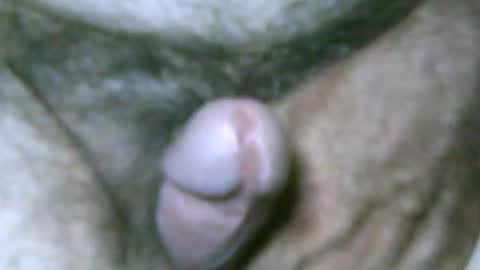 fer_2197 online show from December 14, 7:18 pm