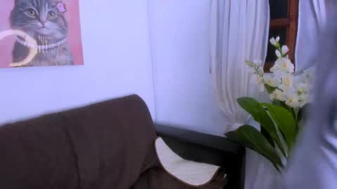 Fernanda online show from November 8, 8:29 pm