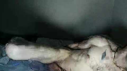 fetishsearch1abdl online show from February 27, 6:18 am