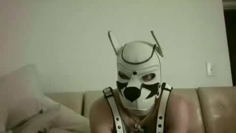 fetishsearch1abdl online show from September 25, 11:03 am