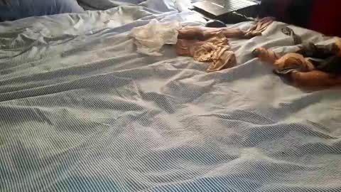 ffst0ckings online show from December 25, 7:56 pm