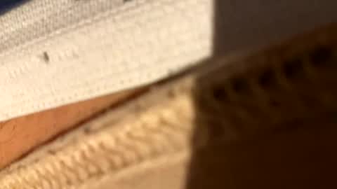 Fiksok online show from April 14, 1:00 am