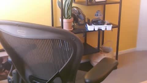 Snapshot of filip907 chatting on September 25, 11:25 am filip907 online show from September 25, 11:25 am