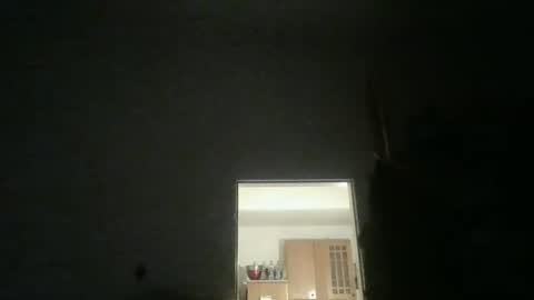 Snapshot of fine_nice chatting on October 5, 8:51 pm fine_nice online show from October 5, 8:51 pm