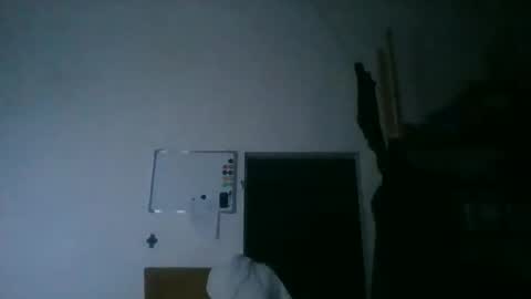 Snapshot of fine_nice chatting on December 20, 6:37 pm fine_nice online show from December 20, 6:37 pm