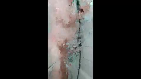 fips1981 online show from April 18, 10:30 am