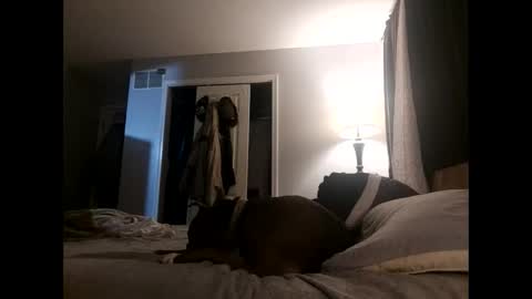 Nate online show from November 2, 4:48 am