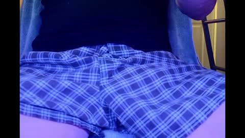 Snapshot of flerpeterpe chatting on December 8, 8:25 pm Flerpe online show from December 8, 8:25 pm