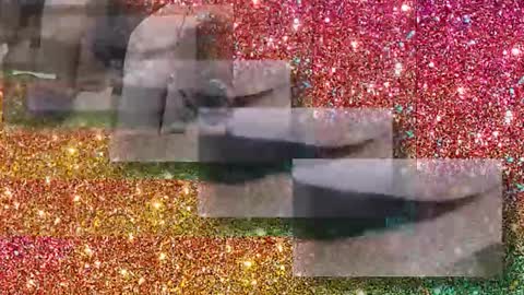 Flextle Bunny online show from January 17, 11:30 pm