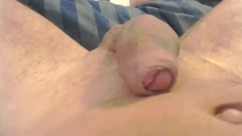 flomausi online show from March 30, 4:52 pm