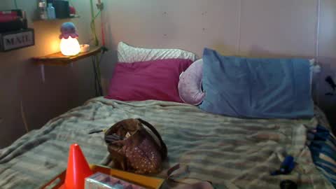 Snapshot of flopikin69 chatting on December 22, 9:09 pm Eisha online show from December 22, 9:09 pm