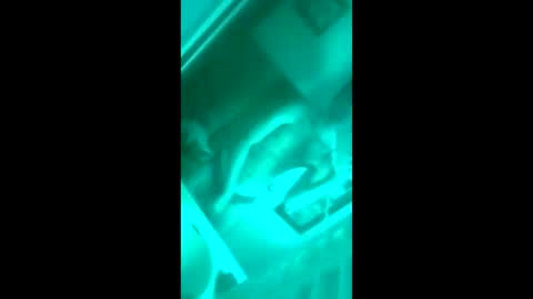 floridaloverboy88 online show from September 29, 5:29 pm