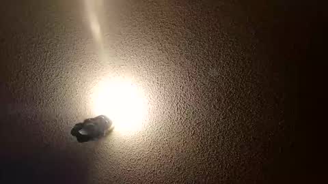 flyyguy69 online show from January 11, 1:38 pm