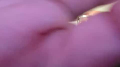 focusfuker online show from November 14, 11:13 pm