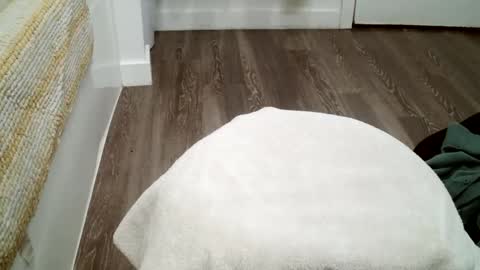 Snapshot of forestnymphpdx chatting on October 19, 12:11 am forestnymphpdx online show from October 19, 12:11 am