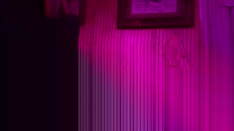 foxrun2 online show from February 26, 11:09 am