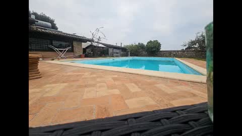 fra  71 online show from April 12, 5:45 am