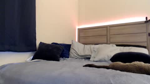 Angel online show from December 14, 7:03 pm