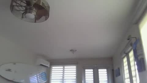 frankorican online show from April 3, 12:14 pm