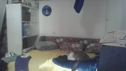 frcokin online show from April 3, 12:25 pm