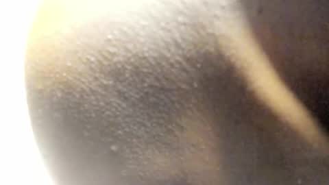 Snapshot of freaky_kandy chatting on March 14, 8:09 am Kandy online show from March 14, 8:09 am