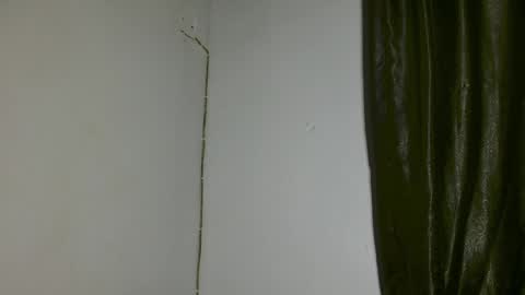 luna online show from April 3, 3:26 am