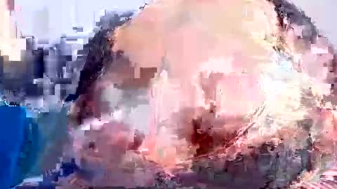 Kimmy online show from October 19, 6:25 am