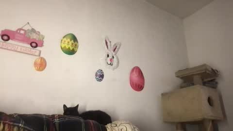 Freddy Foot Balls online show from March 23, 11:09 pm