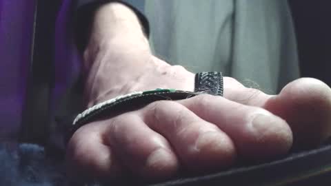 Greedy Fred online show from March 5, 1:56 am