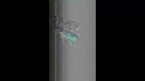 fredy621268 online show from April 18, 10:19 am