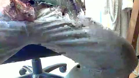 Snapshot of frenchpapalover chatting on February 28, 1:14 pm frenchpapalover online show from February 28, 1:14 pm