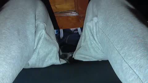 Snapshot of frenchpapalover chatting on October 31, 8:48 am frenchpapalover online show from October 31, 8:48 am