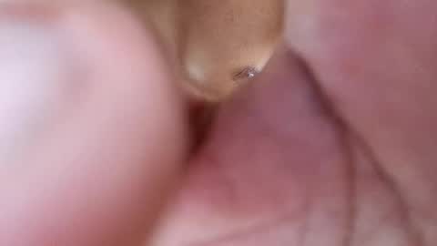 Phantom online show from February 17, 8:47 pm