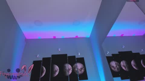 Pau. online show from November 2, 9:39 pm