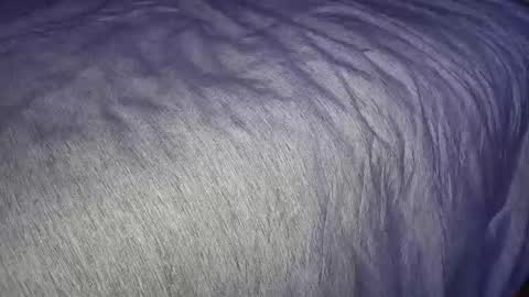 Snapshot of freythegemini chatting on January 7, 3:46 am FreyaTheGemini online show from January 7, 3:46 am