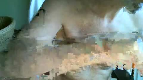 Snapshot of frisco69 chatting on April 12, 11:04 am frisco69 online show from April 12, 11:04 am