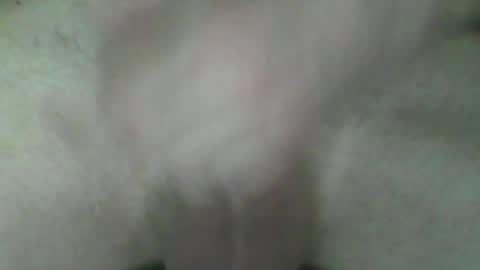 Snapshot of fryboxxxxx chatting on July 2, 5:41 pm fry online show from July 2, 5:41 pm