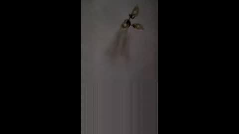 Snapshot of fucktoy972955 chatting on February 26, 3:16 am fucktoy972955 online show from February 26, 3:16 am