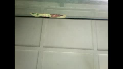 Snapshot of fucmebudoo chatting on January 14, 6:24 am Warwick online show from January 14, 6:24 am