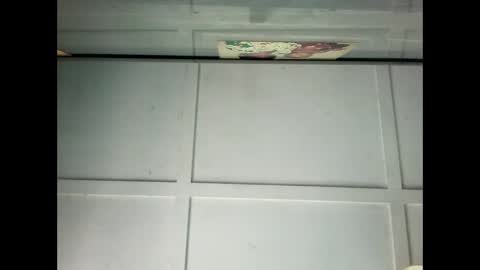 Snapshot of fucmebudoo chatting on January 15, 12:09 am Warwick online show from January 15, 12:09 am