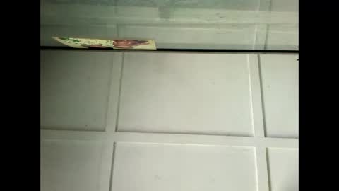 Snapshot of fucmebudoo chatting on January 29, 4:05 am Warwick online show from January 29, 4:05 am