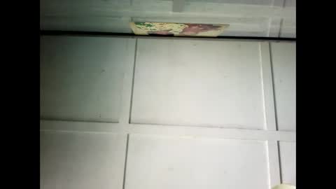 Snapshot of fucmebudoo chatting on February 24, 1:02 am Warwick online show from February 24, 1:02 am