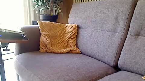 fun4couples online show from June 19, 9:46 am