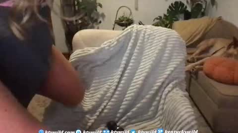   Thank you for visiting I hope you had fun 3 online show from November 19, 10:54 pm