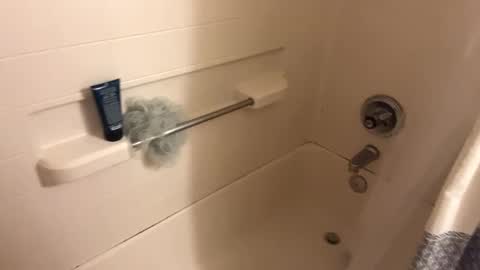 Curious guy showing off online show from November 2, 1:08 am