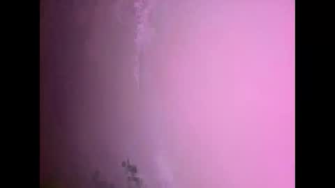 Snapshot of fungi4591 chatting on November 17, 7:30 pm Daniel kim online show from November 17, 7:30 pm