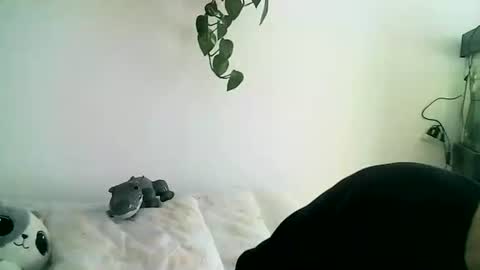 Snapshot of gaelgarcia07 chatting on February 11, 6:02 pm Gael Garca online show from February 11, 6:02 pm